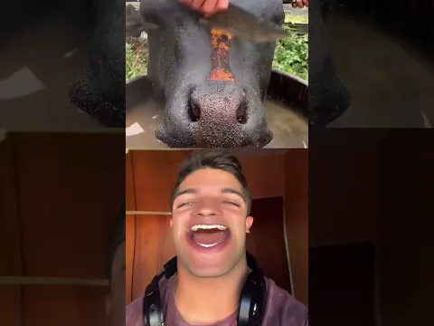 Jaimito reaccionando a videos #17