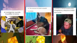 10 Minutos de Memes Para Reir Toda La Noche...