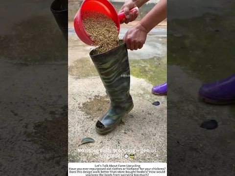 DIY Rain Boot Chicken Feeder – Upcycled, Automatic, Zero Waste 🐔