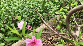 ToeBest great new day sounds