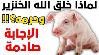 هل تعلم لماذا خلق الله الخنزير وحرمه على البشر؟ الإجابة صادمة