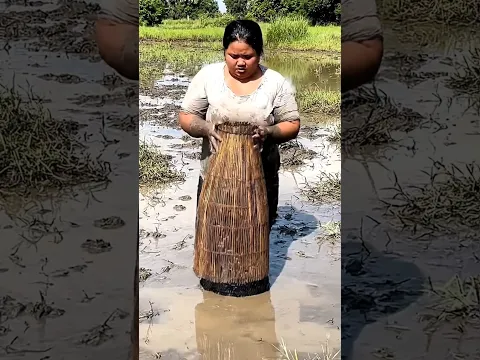 Amazing Village Fishing and rural life Techniques #fishing