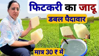 खेती में फिटकरी का सही उपयोग | potassium aluminium sulfate uses in farming | fitkari ke upyog | alum