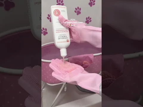 it’s bath time! #shorts #puppy #pink #asmr #asmrvideo #poodle