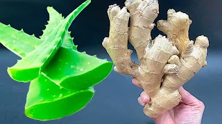 10 ANOS QUE NÃO FICO DOENTE 🍋 BOMBA Natural 🍋  DICA da vovó Diga adeus às dores