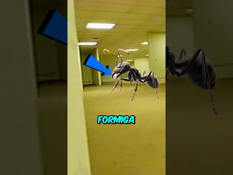 SE UMA FORMIGA CAÍSSE NAS BACKROOMS