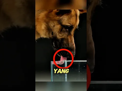 #actingchallenge