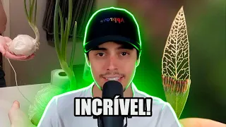 IMAGENS QUE MOSTRAM AÇÕES DO COTIDIANO