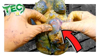MASSIVE FOUNTAIN HEEL IN THIS COW'S HOOF | 12 Hooves of Christmas