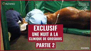 Une nuit aux urgences de la clinique vétérinaire de Grosbois partie 2