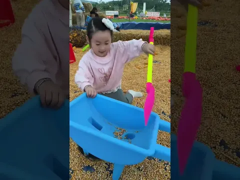 #petshub