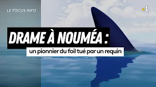 Drame à Nouméa : un pionnier du foil tué par un requin