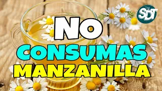 🔴 No consumas LA MANZANILLA sin ANTES ver este Video 😨