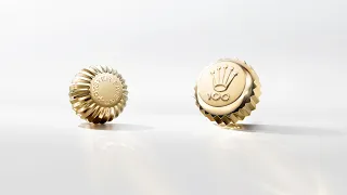 Worn on the Wrist of History for 100 Years – The Oyster