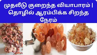 முதலீடு குறைந்த வியாபாரம் | தொழில் ஆரம்பிக்க சிறந்த நேரம் Small Business Ideas