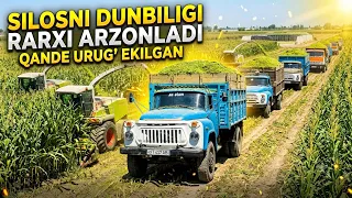 SILOSNI DAXSHATI MANA QANDAY URIG’ EKISH KERAK