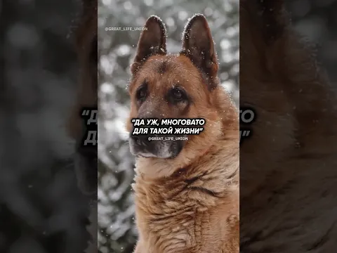 Согласны с этим?