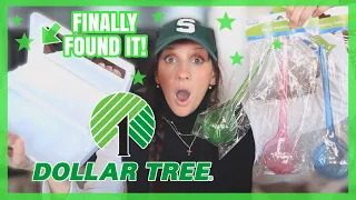 $100+ DOLLAR TREE HAUL | TRUCK LOAD OF NEW FINDS | (LOUIS VUITTON DUPES?!)