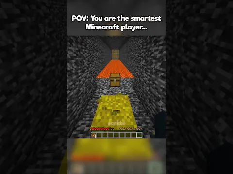 POV: You Are The Smartest Minecraft Player