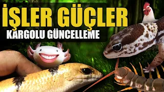 #KÇ9 AXOLOTL AFİYETTE! KARGO AÇILIM VE ROBOTİK İŞLER