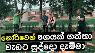 Norway,ගෙයක් ගත්තා.වැඩට සුද්දො ගත්තා(සරලයි)planting Tuja (තූයා) in our garden.life in නොර්වේ .