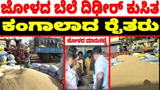 Jower Prices Dropped In Karnataka Markets |Today  Jowar price in Karnataka | Latest jower Price