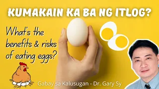 Eggs: Health Benefits & Risks - Dr. Gary Sy