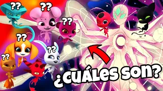 ESTOS SON TODOS los CONCEPTOS de los Kwamis, Poderes y Portadores (explicados) | Miraculous Ladybug