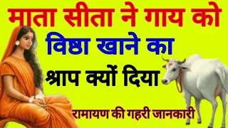 माता सीता ने गाय को विष्ठा खाने का श्राप क्यों दिया? गहरी जानकारी | Sita cursed the cow to eat feces