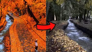 Social Media Vs Reality: What Famous Travel Places Really Look Like. (Insane Compilation)