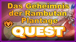 Das Geheimnis der Rambutan-Plantage