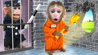 Monkey baby shark | Nursery Rhymes & Kids Songs |Bobby Kids Songs