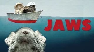 Jaws in 2 Minutes by Five Chinchillas