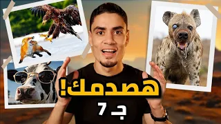 صدمات سريعة ومثيرة هتخلي مخك ينور! جزء جديد - 7