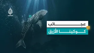 الأرض.. طبيعة كوكبنا.. الماء | الحلقة الثالثة
