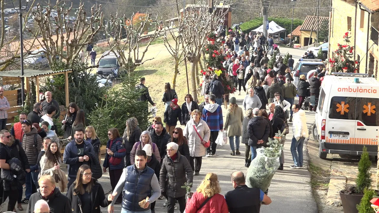 Primer cap de setmana de multituds a la fira de l’Avet d’Espinelves