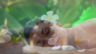 Relaxing Video for releasing stress