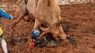 🔴 Rodeio de COLORADO 2022 (QUINTA / MELHORES MOMENTOS)