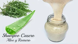 Shampoo Casero de Aloe y Romero | Champú Natural | Crecimiento, Cuerpo, hidratación, Anti caspa