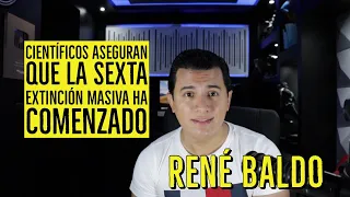 Científicos aseguran que la sexta extinción masiva ha comenzado