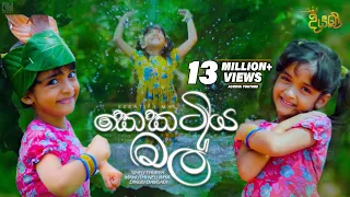 Kekatiya Mal (කෙකටිය මල්) | Various Artist | Diyani Teledrama Song | eTunes