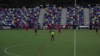 Papucho HN Live Stream