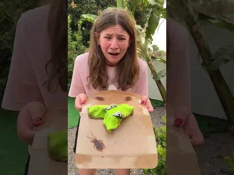 Sé Amable con los Animalitos 😺