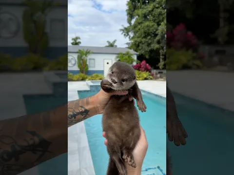 Lola learns to swim for the first time🥹