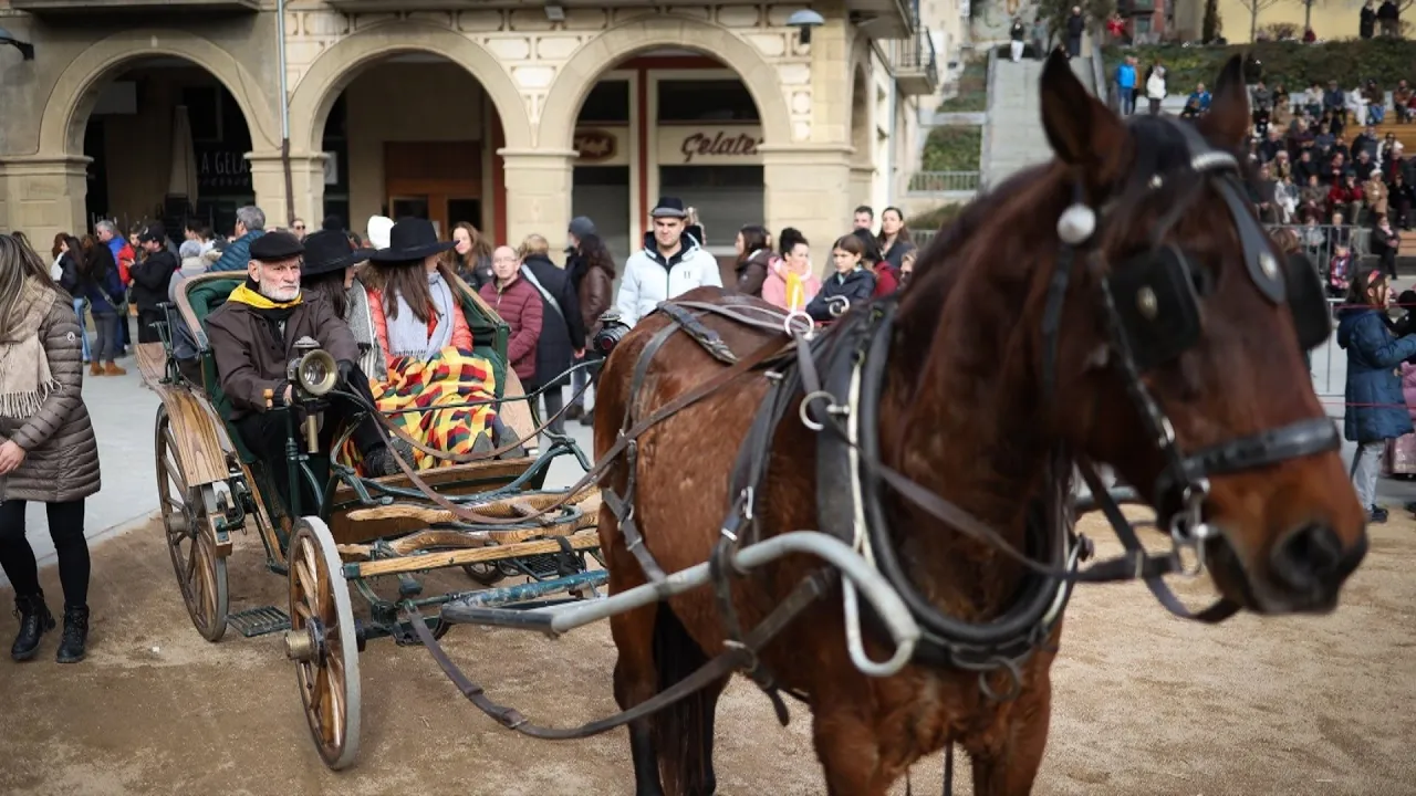 Manlleu es prepara per una nova edició de la Festa dels Tonis