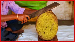 FRUIT NINJA of FRUITS | Amazing Fruits Cutting Skills | Indian Street Food In 2021