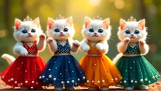 Billi Dance| Cutest Cat videos funny dance🤣💃Videos for cats #funny #dancingcat #cat