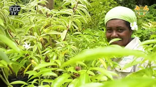 Farming Fiji   PHP