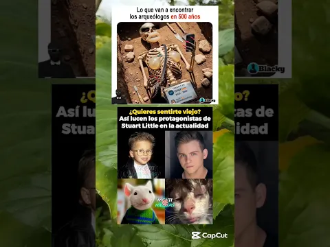 memes random XD
