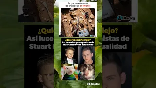 memes random XD